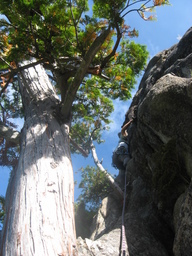 �m�d�s�R�x��h�g�`�k�t�h