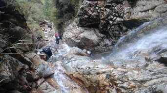 �m�d�s�R�x��h�g�`�k�t�h