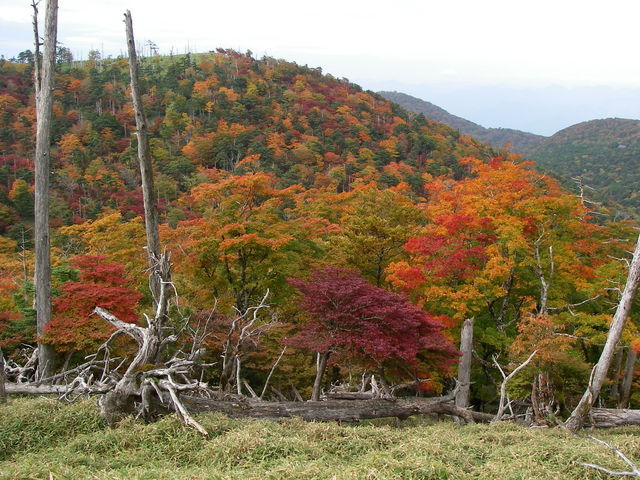 �m�d�s�R�x��h�g�`�k�t�h