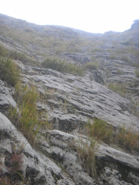 �m�d�s�R�x��h�g�`�k�t�h