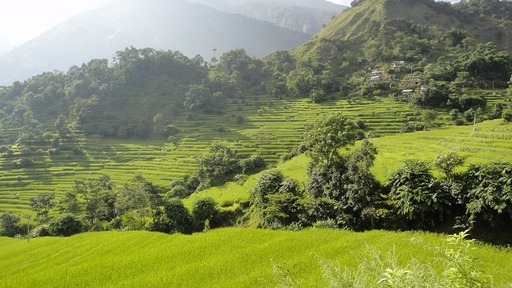 �m�d�s�R�x��h�g�`�k�t�h