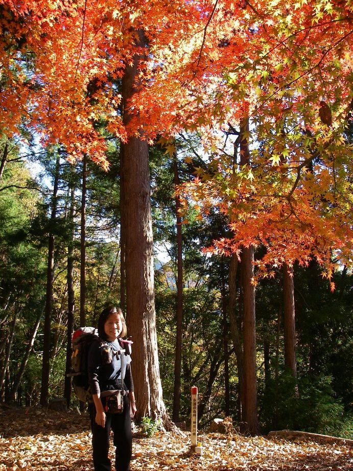 �m�d�s�R�x��h�g�`�k�t�h