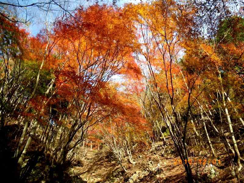 �m�d�s�R�x��h�g�`�k�t�h