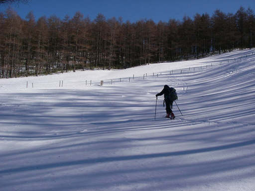 �m�d�s�R�x��h�g�`�k�t�h