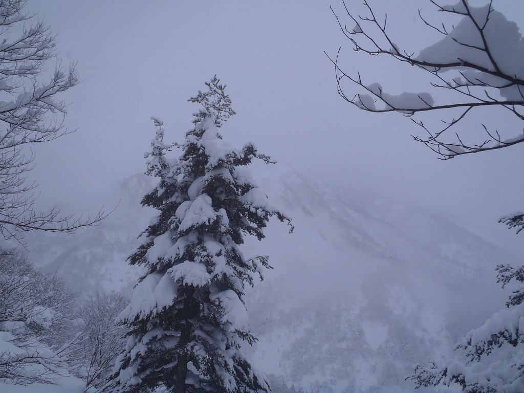 �m�d�s�R�x��h�g�`�k�t�h