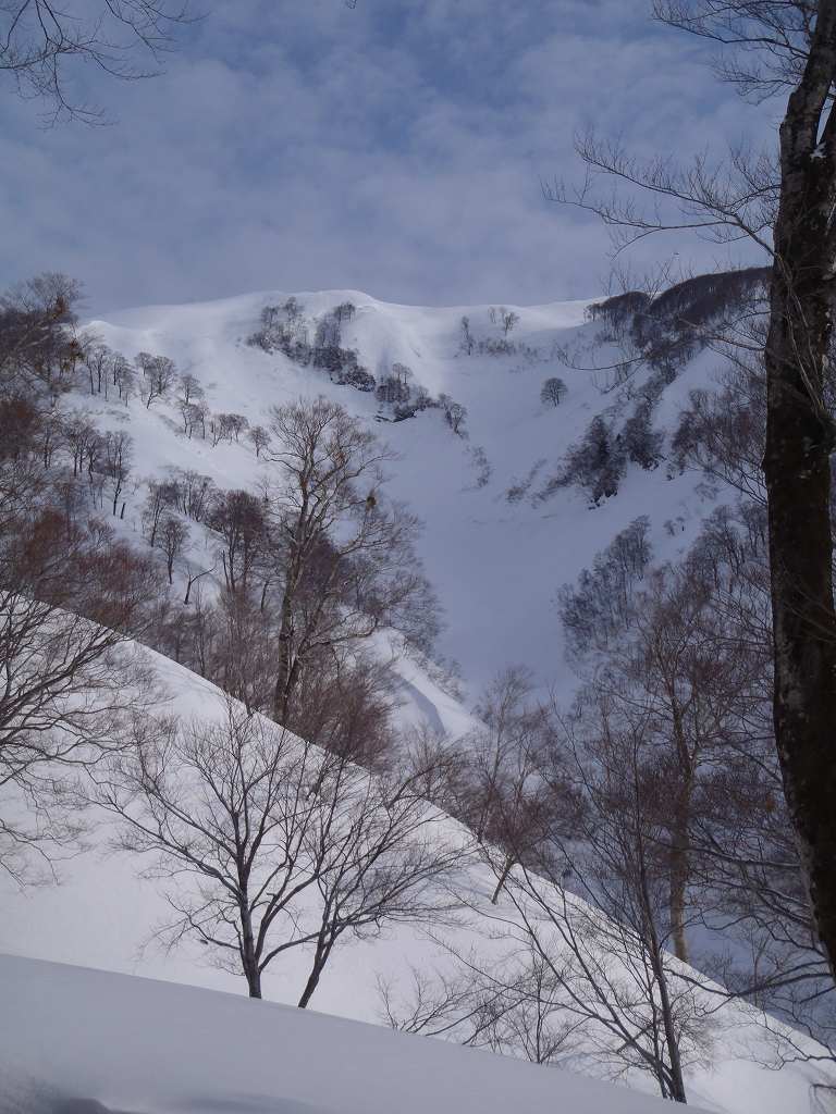 �m�d�s�R�x��h�g�`�k�t�h