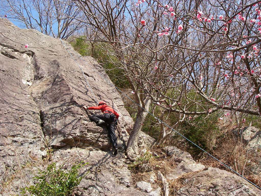 �m�d�s�R�x��h�g�`�k�t�h