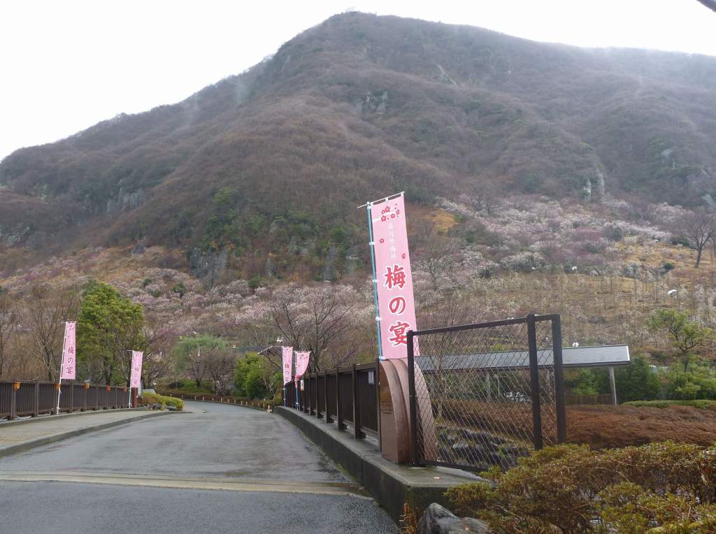 �m�d�s�R�x��h�g�`�k�t�h