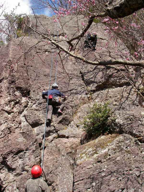 �m�d�s�R�x��h�g�`�k�t�h