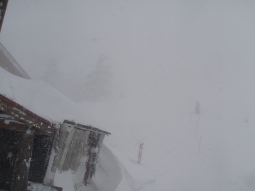 �m�d�s�R�x��h�g�`�k�t�h