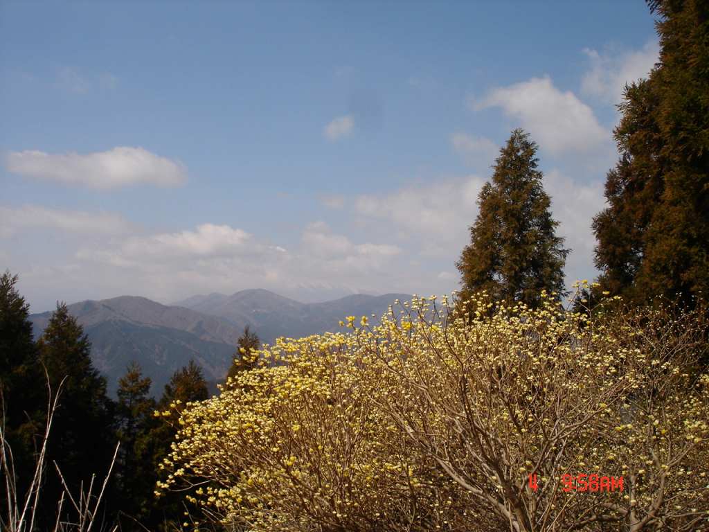 �m�d�s�R�x��h�g�`�k�t�h