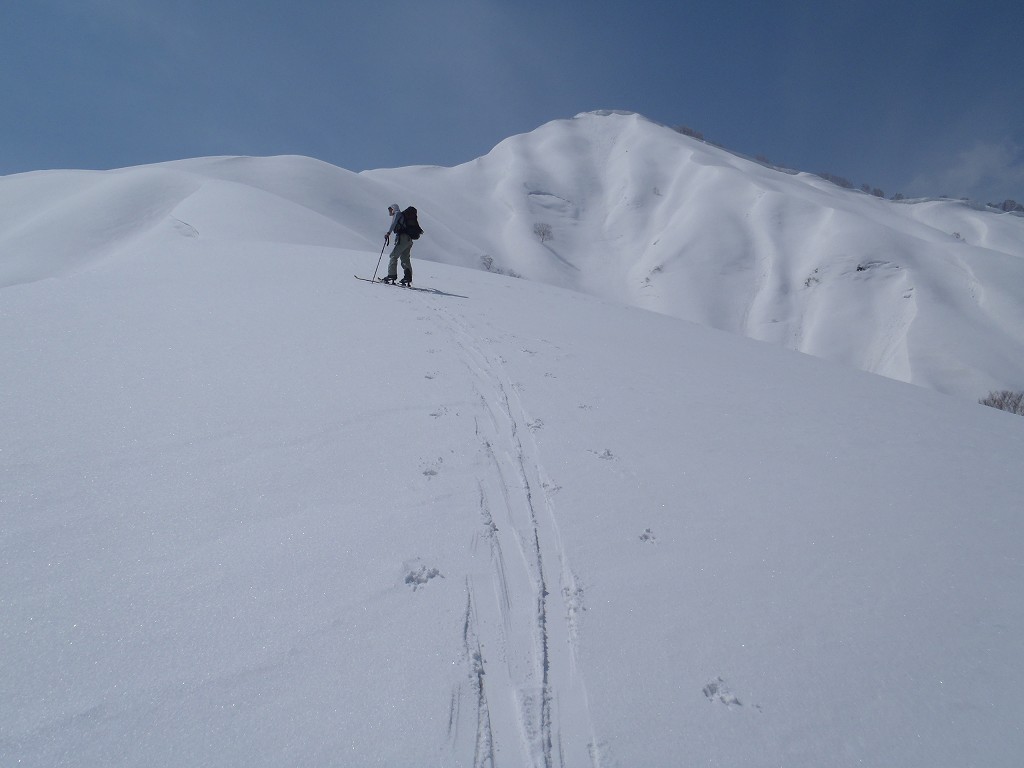 �m�d�s�R�x��h�g�`�k�t�h