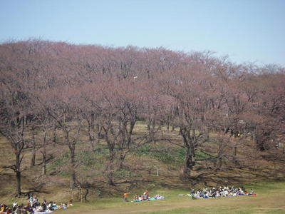 �m�d�s�R�x��h�g�`�k�t�h