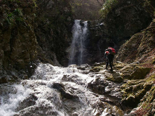 �m�d�s�R�x��h�g�`�k�t�h