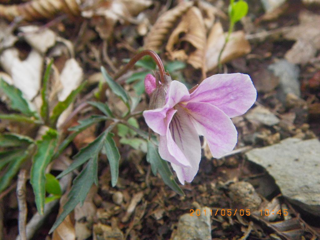 �m�d�s�R�x��h�g�`�k�t�h