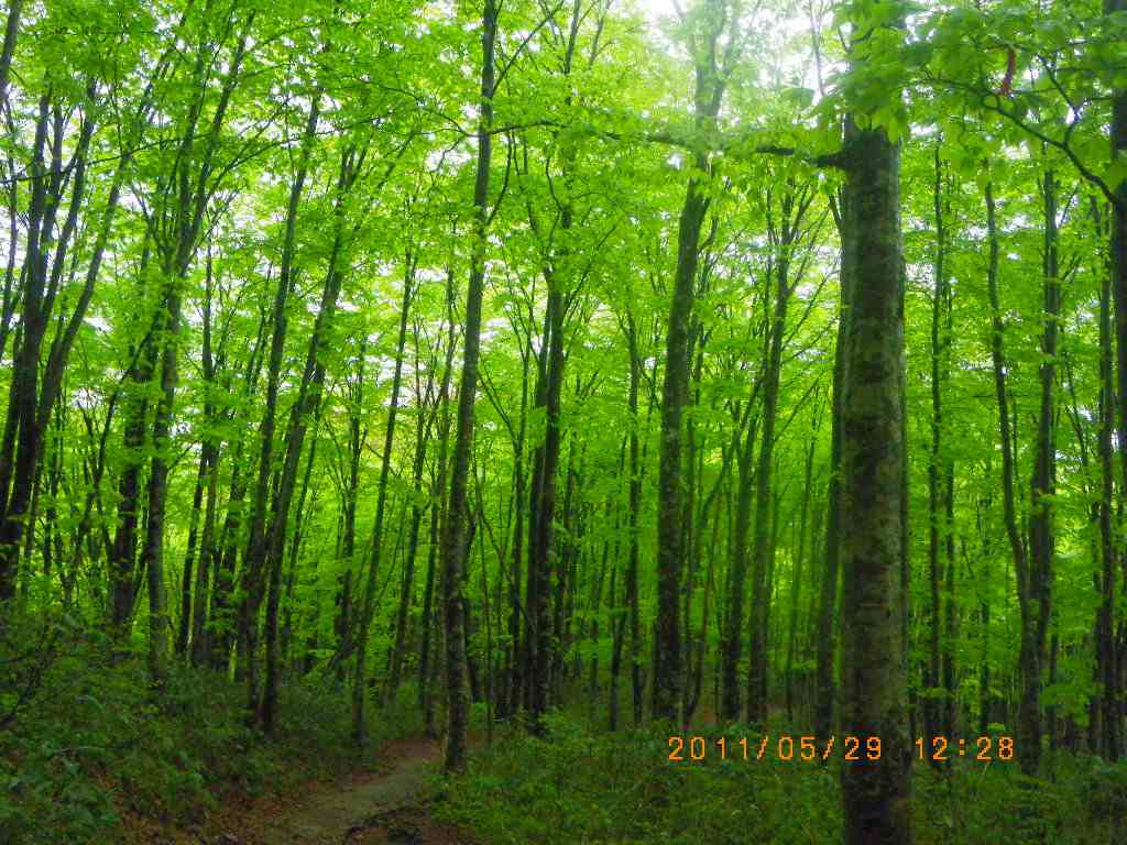 �m�d�s�R�x��h�g�`�k�t�h