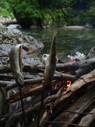 �m�d�s�R�x��h�g�`�k�t�h