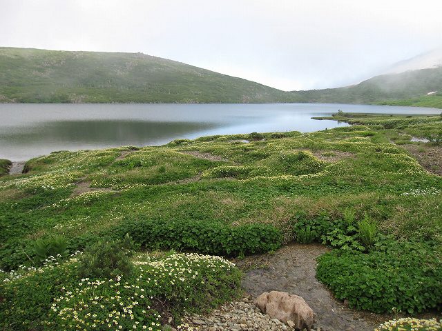 �m�d�s�R�x��h�g�`�k�t�h