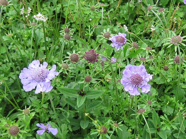 �m�d�s�R�x��h�g�`�k�t�h