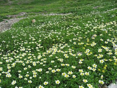 �m�d�s�R�x��h�g�`�k�t�h