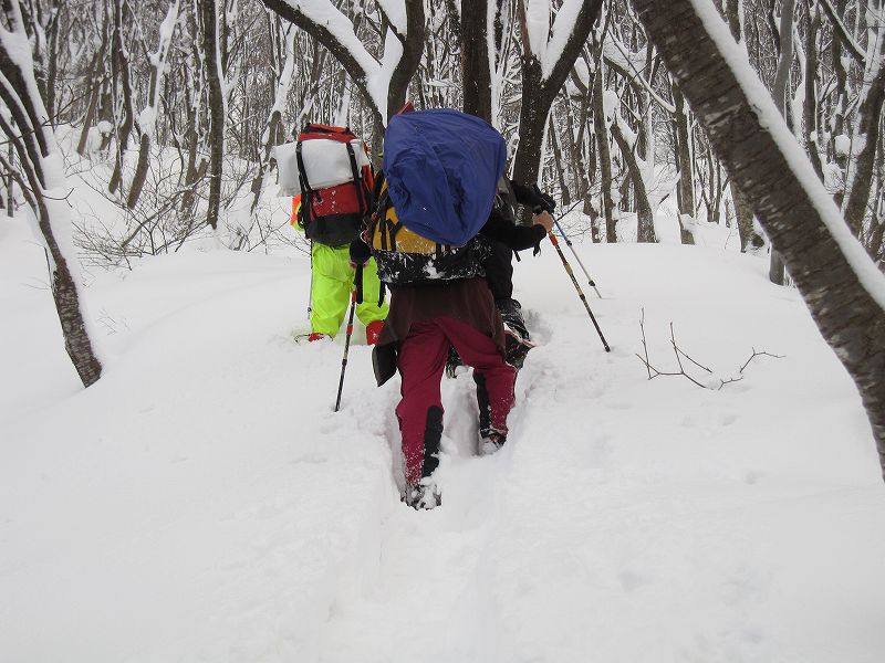 �m�d�s�R�x��h�g�`�k�t�h