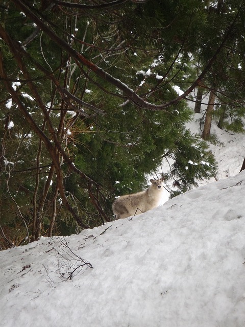 �m�d�s�R�x��h�g�`�k�t�h