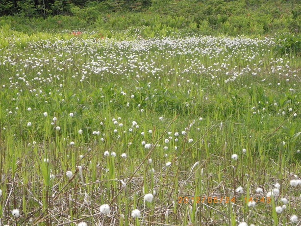 �m�d�s�R�x��h�g�`�k�t�h