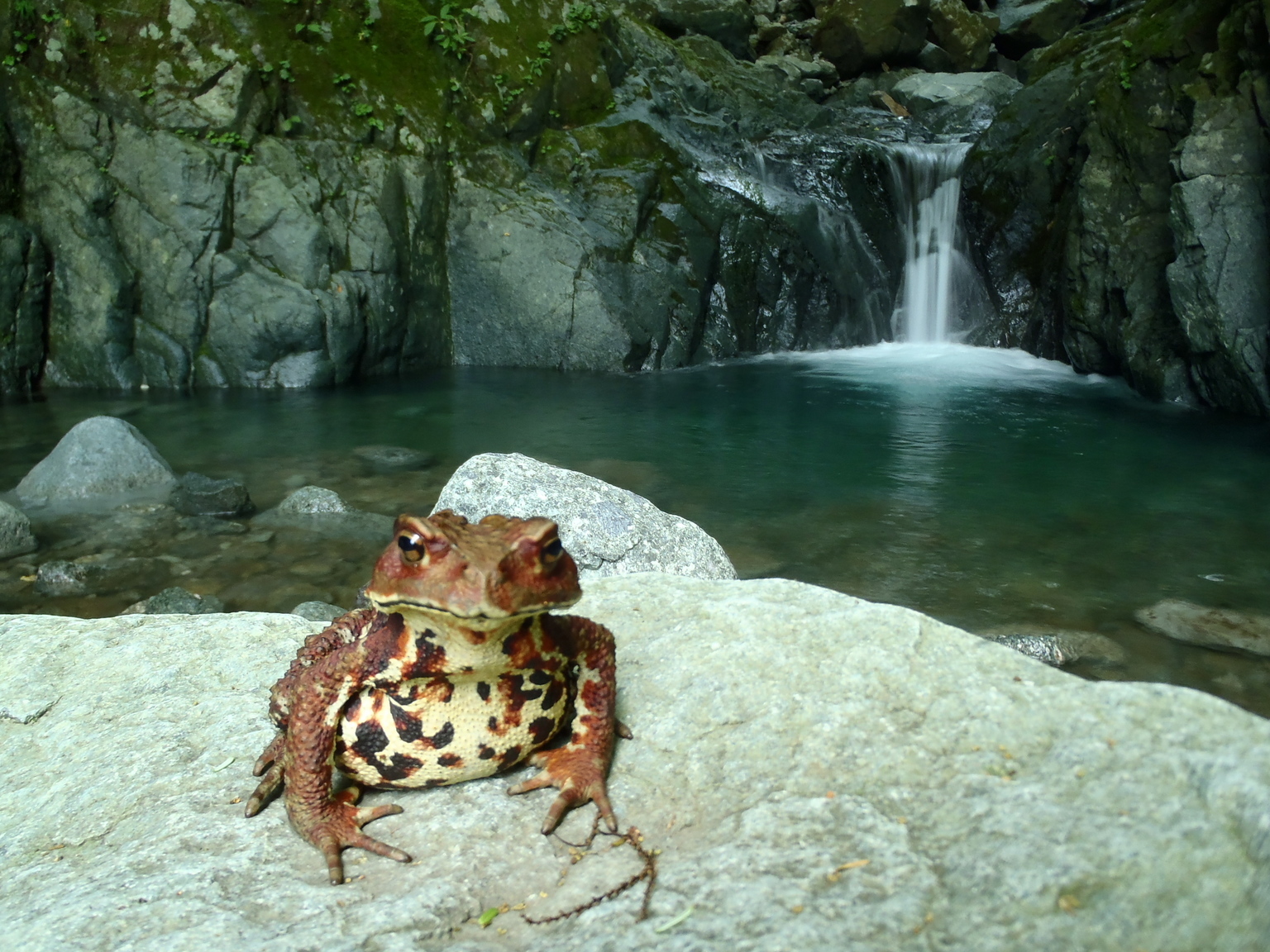 �m�d�s�R�x��h�g�`�k�t�h