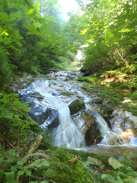 �m�d�s�R�x��h�g�`�k�t�h