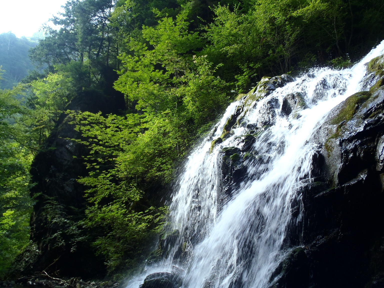 �m�d�s�R�x��h�g�`�k�t�h