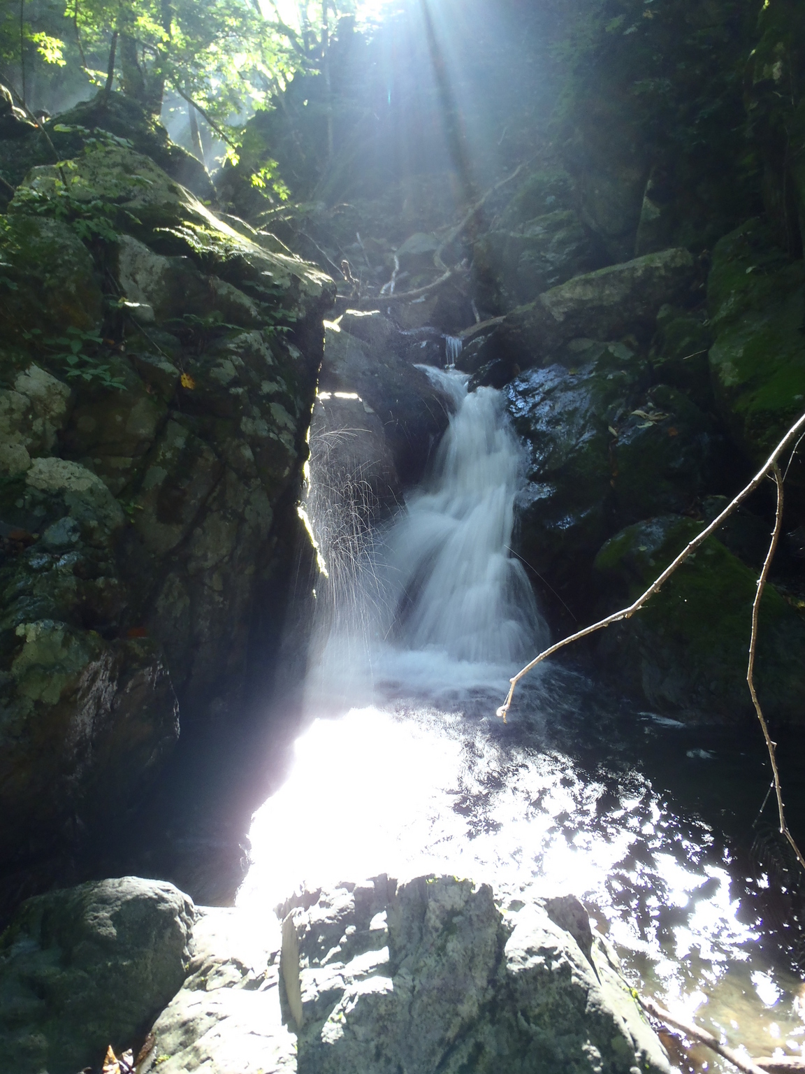 �m�d�s�R�x��h�g�`�k�t�h