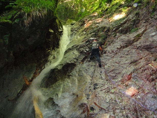 �m�d�s�R�x��h�g�`�k�t�h