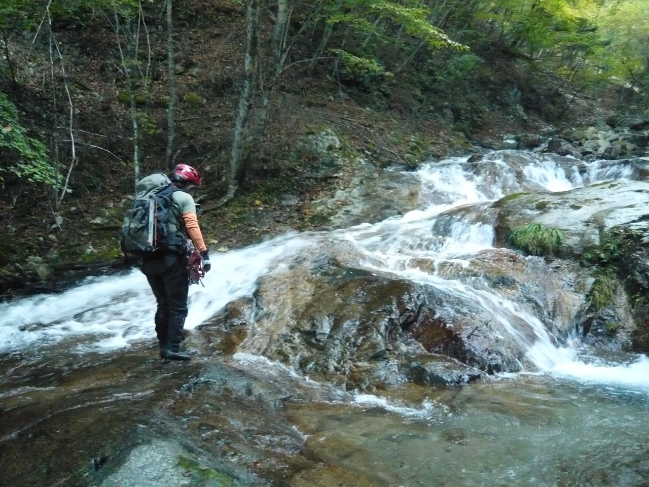 �m�d�s�R�x��h�g�`�k�t�h