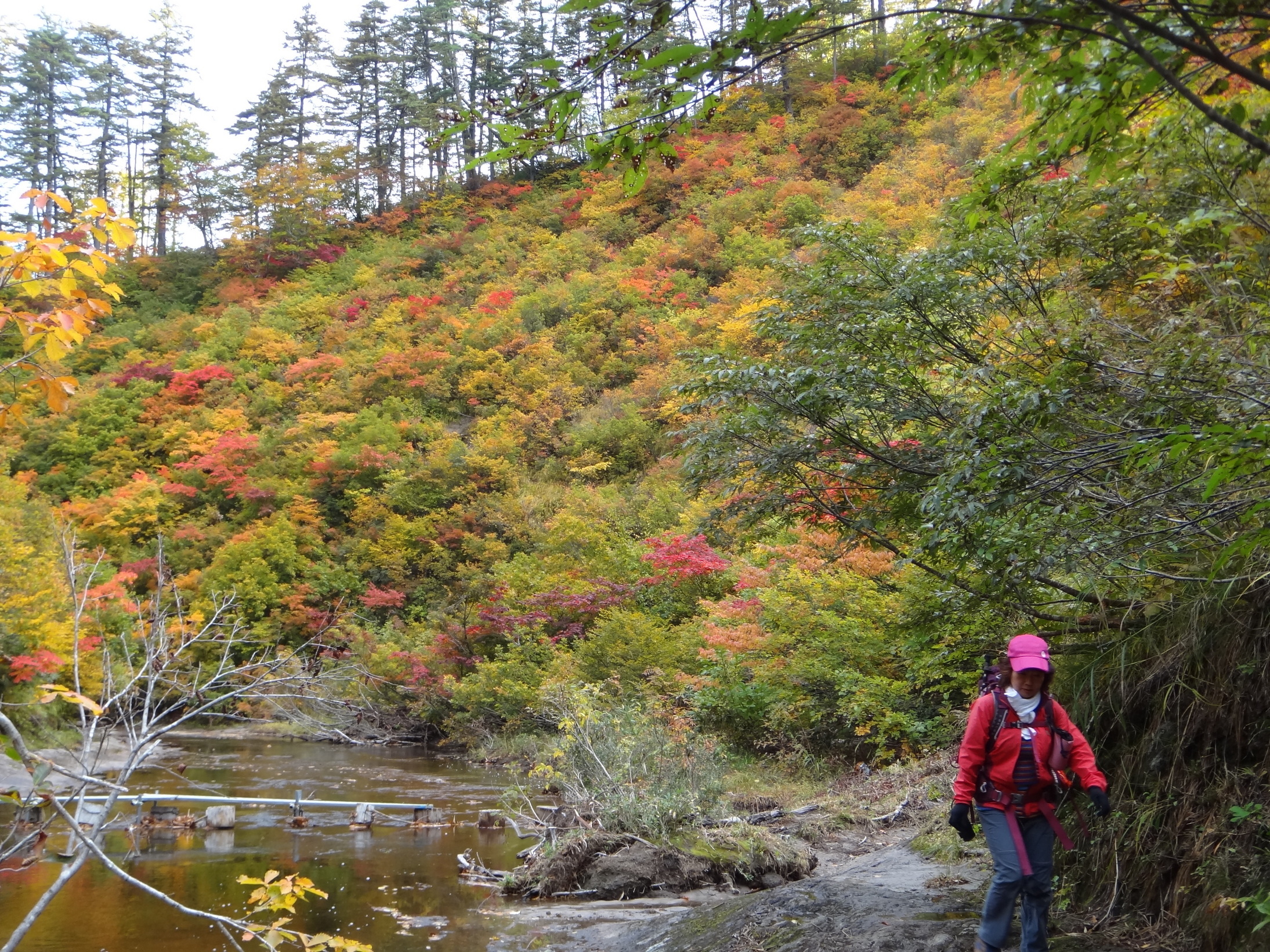 �m�d�s�R�x��h�g�`�k�t�h