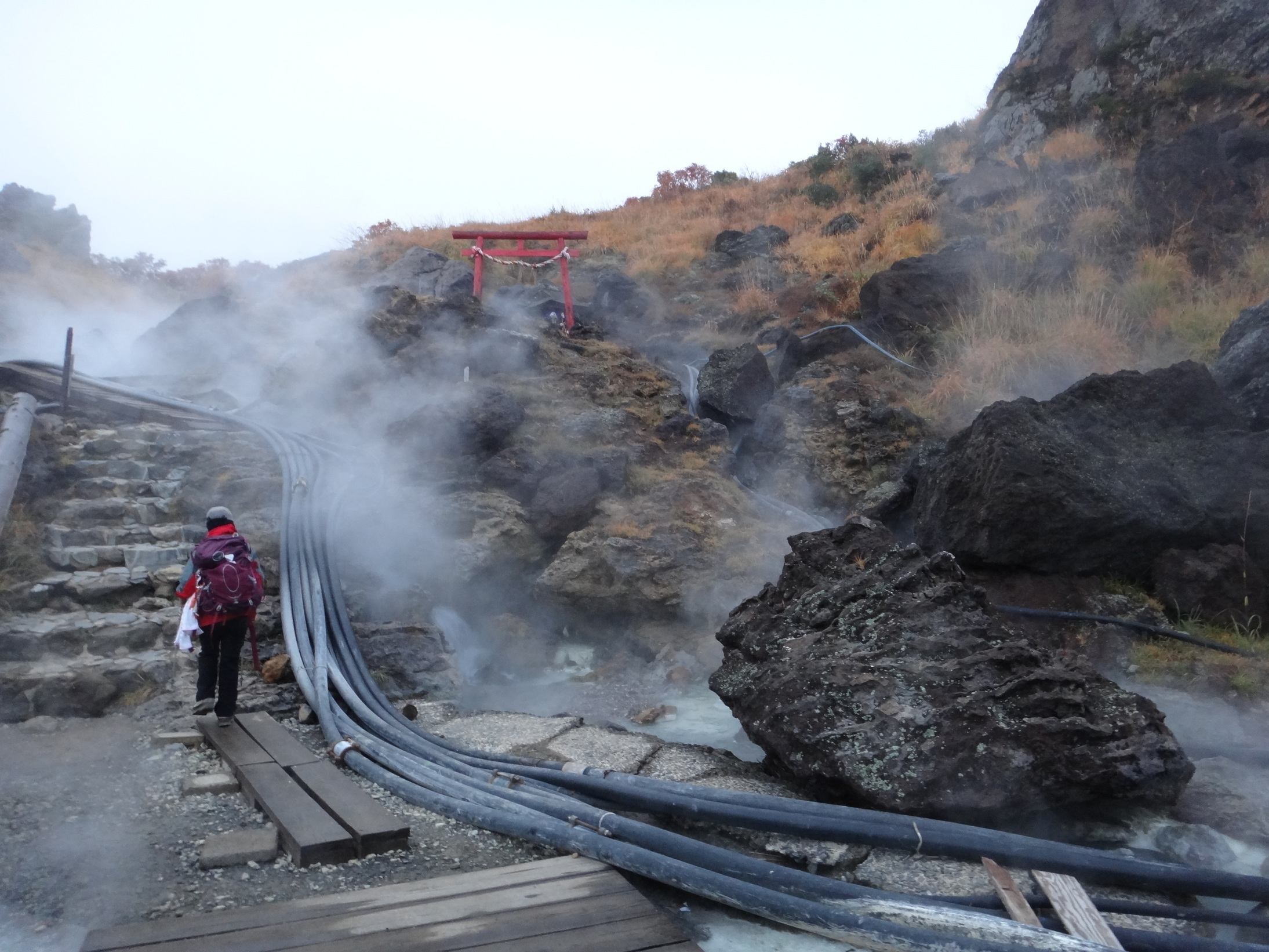 �m�d�s�R�x��h�g�`�k�t�h