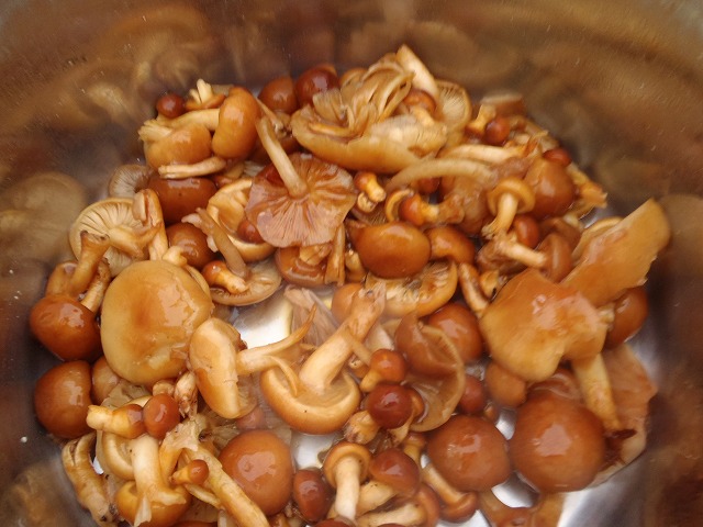 �m�d�s�R�x��h�g�`�k�t�h