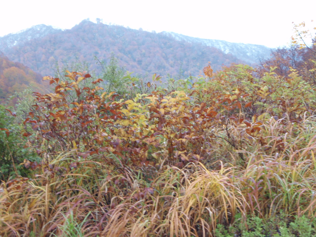 �m�d�s�R�x��h�g�`�k�t�h