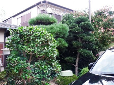 ��̎��Ȃ爤�Ή��@�Ó�̐A�؉��ł��B      �g�тO�X�O�|�X�P�O�O�|�Q�R�S�S