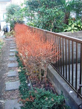 ��̎��Ȃ爤�Ή��@�Ó�̐A�؉��ł��B      �g�тO�X�O�|�X�P�O�O�|�Q�R�S�S