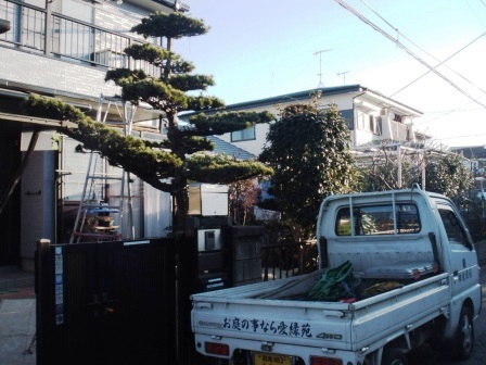 ��̎��Ȃ爤�Ή��@�Ó�̐A�؉��ł��B      �g�тO�X�O�|�X�P�O�O�|�Q�R�S�S