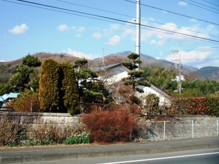 ��̎��Ȃ爤�Ή��@�Ó�̐A�؉��ł��B      �g�тO�X�O�|�X�P�O�O�|�Q�R�S�S