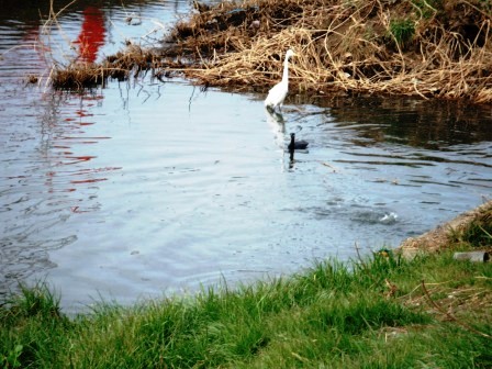 ��̎��Ȃ爤�Ή��@�Ó�̐A�؉��ł��B      �g�тO�X�O�|�X�P�O�O�|�Q�R�S�S