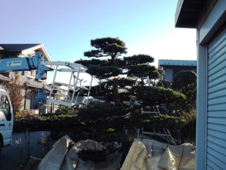 ��̎��Ȃ爤�Ή��@�Ó�̐A�؉��ł��B      �g�тO�X�O�|�X�P�O�O�|�Q�R�S�S