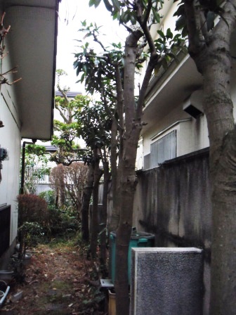 ��̎��Ȃ爤�Ή��@�Ó�̐A�؉��ł��B      �g�тO�X�O�|�X�P�O�O�|�Q�R�S�S