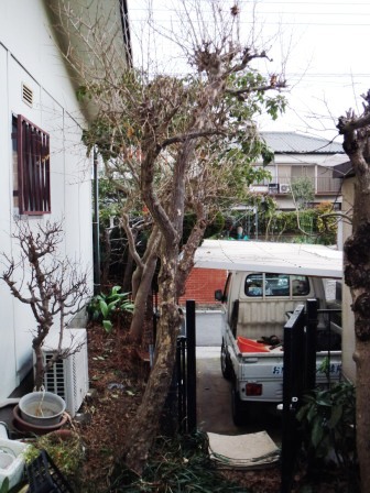 ��̎��Ȃ爤�Ή��@�Ó�̐A�؉��ł��B      �g�тO�X�O�|�X�P�O�O�|�Q�R�S�S