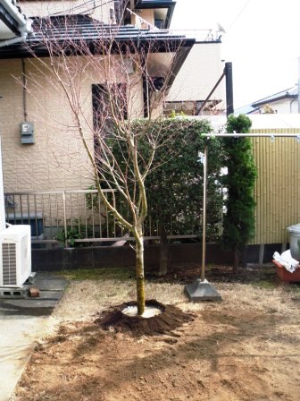 ��̎��Ȃ爤�Ή��@�Ó�̐A�؉��ł��B      �g�тO�X�O�|�X�P�O�O�|�Q�R�S�S