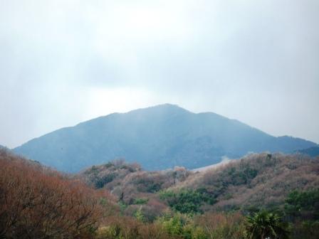 ��̎��Ȃ爤�Ή��@�Ó�̐A�؉��ł��B      �g�тO�X�O�|�X�P�O�O�|�Q�R�S�S