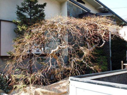 ��̎��Ȃ爤�Ή��@�Ó�̐A�؉��ł��B      �g�тO�X�O�|�X�P�O�O�|�Q�R�S�S