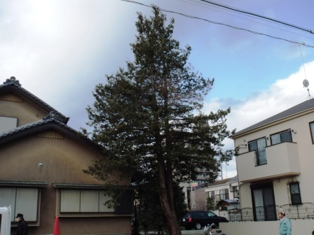 ��̎��Ȃ爤�Ή��@�Ó�̐A�؉��ł��B      �g�тO�X�O�|�X�P�O�O�|�Q�R�S�S