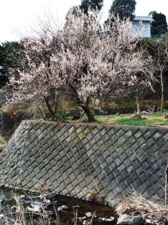 ��̎��Ȃ爤�Ή��@�Ó�̐A�؉��ł��B      �g�тO�X�O�|�X�P�O�O�|�Q�R�S�S